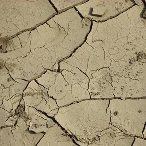 Drought continues to plague multitude of U.S. states