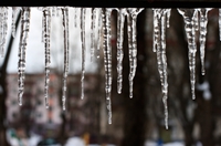 Study: Cold weather damaging for small businesses