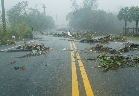 hurricane damage